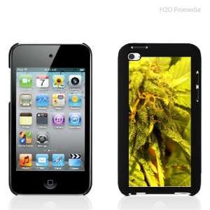  Marijuana Plant   iPod Touch 4th Gen Case Cover Protector 