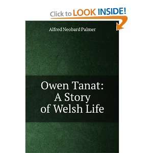    Owen Tanat: A Story of Welsh Life: Alfred Neobard Palmer: Books