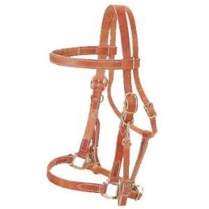   : Australian Outrider Leather Bridle Halter Combo: Sports & Outdoors