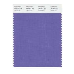   SMART 18 3833X Color Swatch Card, Dusted Peri