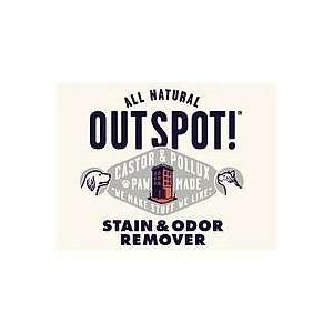  Stain & Odor Remover Spry, 16 oz ( Multi Pack) Health 