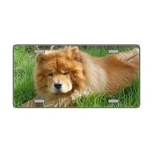 Chow Chow Dog Pet Novelty License Plates Full Color Photography 