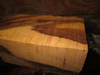 spalted FIRE stained maple turning bowl vase pen blank wood BIG * 6 sq 