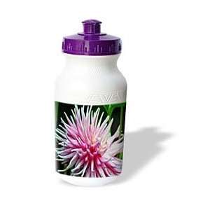  SmudgeArt Flower Art Designs   Pink Spike   Water Bottles 