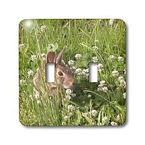 Beverly Turner Photography   Bunny in the Clover   Light Switch Covers 