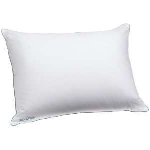  Iso Cool Big Queen Size Sleeping Pillow w/ Outlast Cover 