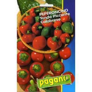  Pagano 1726 Pepper (Peperone) Tondo Picante Calabrese Seed 