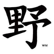 Wild Chinese Symbol rebel temporary tattoo, pkg 5  