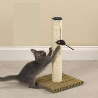 Cat Scratching Posts   Cat Scratchers   Cat Scratch Box   Hanging Cat 