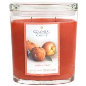  Pack of 2 Oval Apple Orchard Aromatic Candles 22oz: Home 