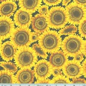    Wide Timeless Treasures Sunflowers Yellow/Black Fabric By The Yard