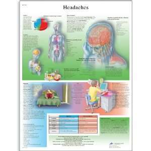 3B Scientific VR1714UU Glossy Paper Headaches Anatomical Chart, Poster 