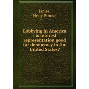  Lobbying in America  is interest representation good for 
