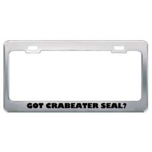  Got Crabeater Seal? Animals Pets Metal License Plate Frame 