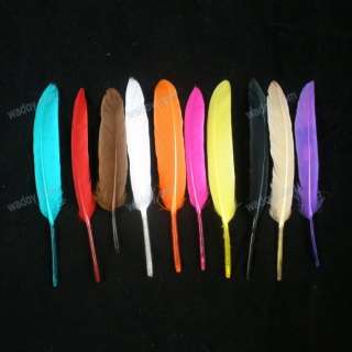   100pc Miniature Goose Wing Feather Narrow Small Cosse 3 5 Long  