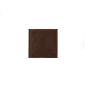    Noble Glass Tile 4 x 4 Brown Glossy Sample: Home Improvement