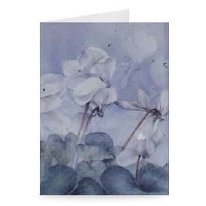  Cyclamen, Triumph White by Karen Armitage   Greeting Card 