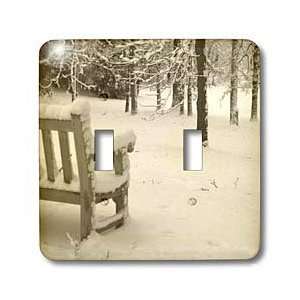   Ann Arbor MI   Light Switch Covers   double toggle switch Home