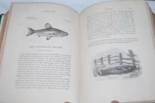   Book FRANK FORESTERS FISH & FISHING 1864 trout salmon fly fishing etc