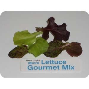 Micro Greens   Lettuce Gourmet Mix   4 x 4 oz:  Grocery 