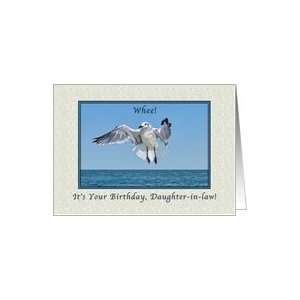  Daughter in laws Birthday, Laughing Gull Bird Card 