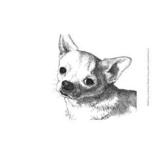  Bruiser the Chihuahua by Beth Thomas 13.00X9.50. Art 
