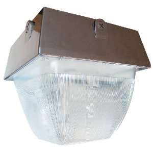  RAB Lighting VAN5S50 Vandalproof 12 X 12 Ceiling 50W HPS 