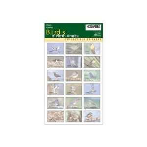  Impact Photographics Sticker Sheet Birds North America 18 