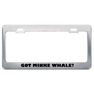 Got Minke Whale? Animals Pets Metal License Plate Frame Holder Border 