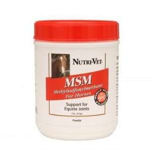 : Equine Joint Support Supplement   MSM Formula Helps Maintain Joint 