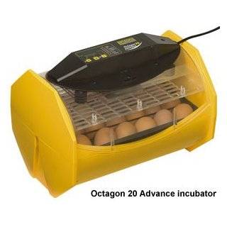    Brinsea Octagon 20 ECO Auto Turn Egg Incubator: Home Improvement