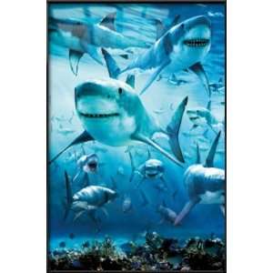 Shark Infested Waters   Framed Poster (Size 24 x 36 
