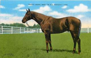 KY TWENTY GRAND RACE HORSE KENTUCKY DERBY R34757  