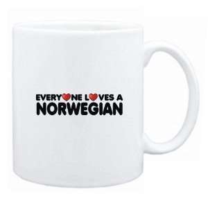 New  Everyone Loves Norwegian  Norway Mug Country 