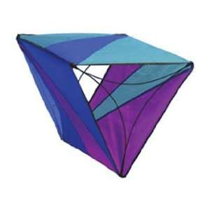    Triad   Single Line Kite   Fire Prism Designs Toys & Games
