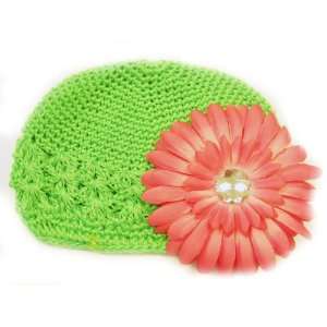   Fits 0   9 Months With a 4 Pink Gerbera Daisy Flower Hair Clip: Baby