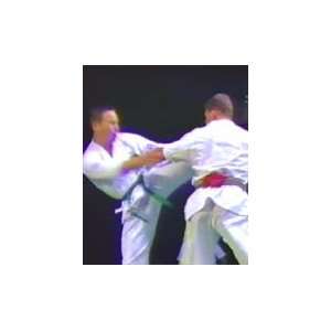  World Oyama Karate Dutch Fighting Championships 2 DVD Set 