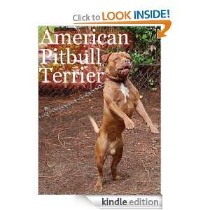 American Pitbull Terrier (German Edition) Wikipedia, JP Hombach 