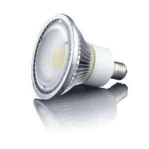  Amitex AX301 LED PAR 38 12W Lamp