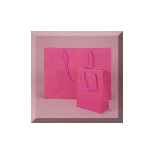   13 X 5 X 10 Matte Hot Pink Plastic Eurotote