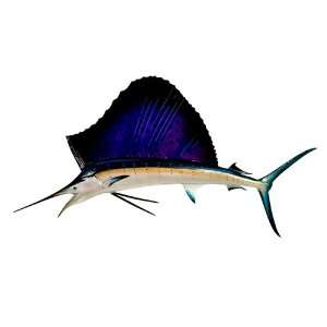    60 Sailfish Half Sided Fish Mount Replica: Kitchen & Dining