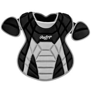   Series TTNCPI Intermediate Chest Protector   Purple: Sports & Outdoors