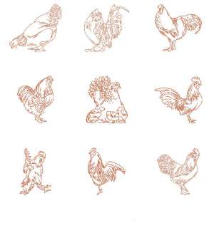 Rooster Redwork Machine Embroidery Designs  