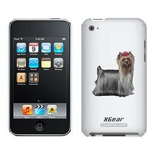  Yorkie Standing on iPod Touch 4G XGear Shell Case 