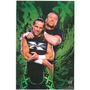 WWF Wrestlemania   Sports Poster   22 x 34