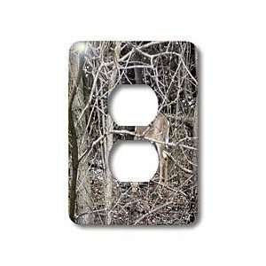 Beverly Turner Photography   Deer in the woods   Light Switch Covers 