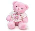 Pink Big Sister Girl Plush Teddy Bear New Baby Gift Stuffed Animal 