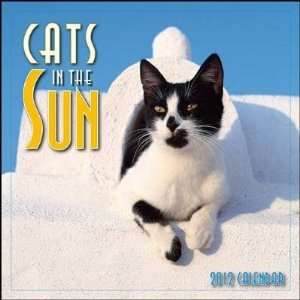 Cats in the Sun 2012 Small Wall Calendar: Office Products