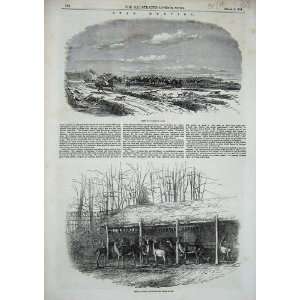   : 1854 Deer Hunting Durdans Epsom GerardS Cross Stag: Home & Kitchen