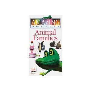  Henrys Amazing Animals   Animal Families   VHS Toys 